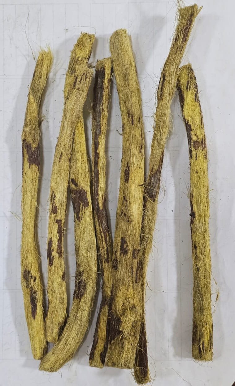 Peeled licorice root sticks (50-80%)