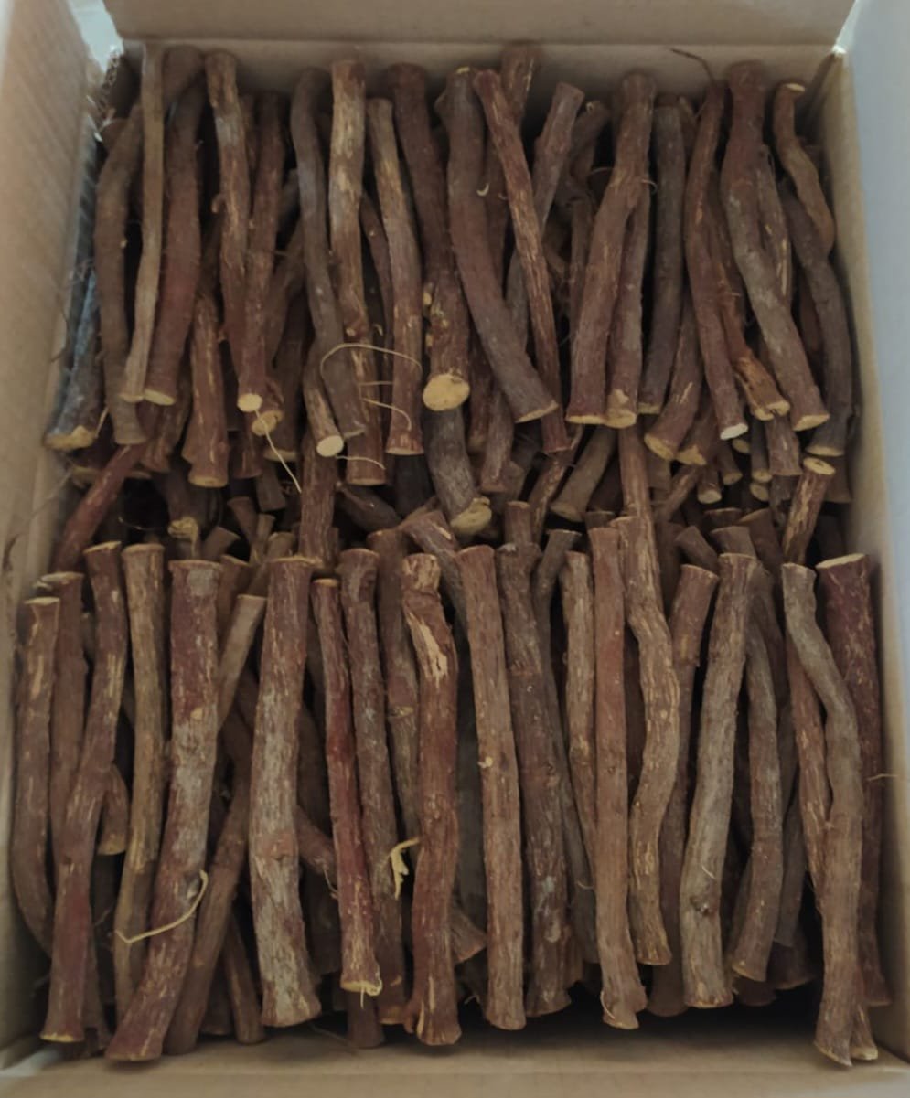 Licorice root sticks 15+ cm